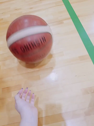 日常の記事動画