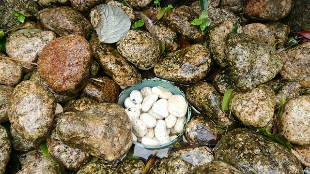 江ノ島へ  水琴窟(動画あり)と龍【米沢市ドルチェ音楽教室】の記事動画