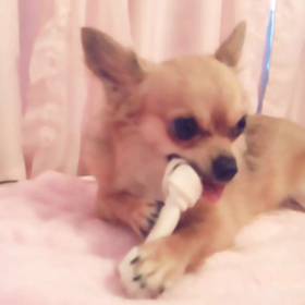 昨日のKING。の画像