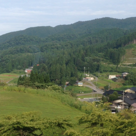 朝の散歩の画像