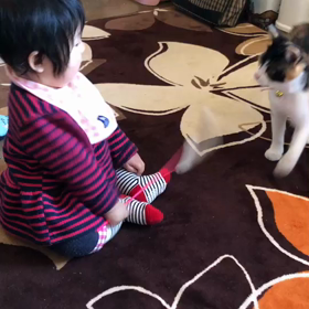 猫と孫の画像