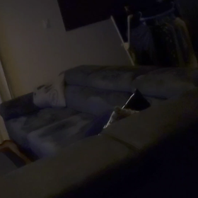 ミサワホームとのやり取り記録の画像