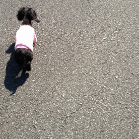 17歳の走りの画像