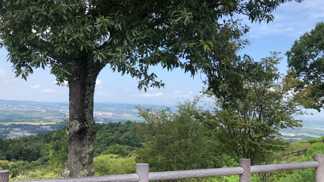適度な散歩道〜新若草山ドライブウェイの記事動画