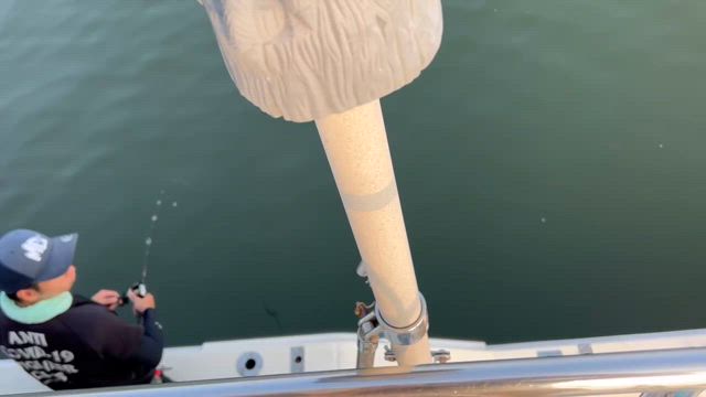 博多湾　太刀魚出船中の記事動画