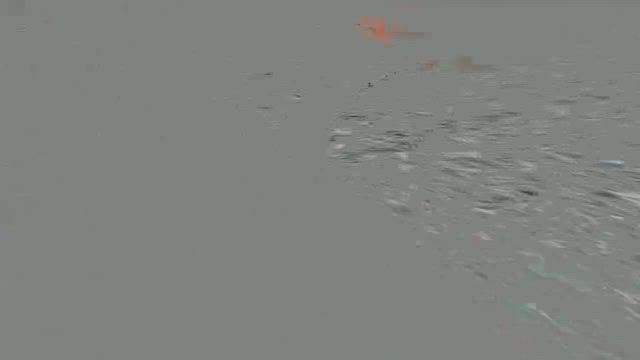 ドナルドスピンで青物の記事動画