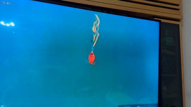 西日本釣り博　の記事動画