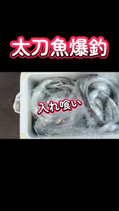 6日太刀魚釣行の記事動画