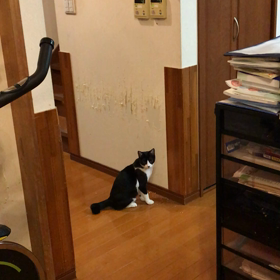 チャレンジ愛くん❗️の画像