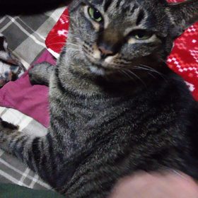 石巻便りの画像