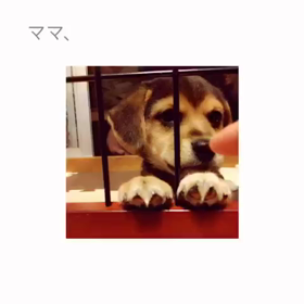 2016/07/21の画像