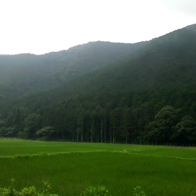 山で〈アワの歌〉奏上の画像