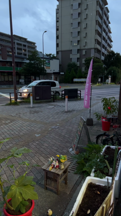 今日も営業中の記事動画