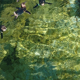 一服の涼の画像