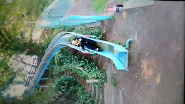 レベルアップは公園での記事動画