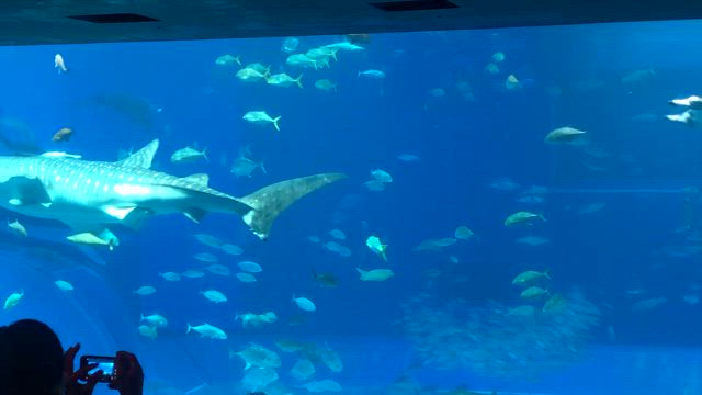 一泊二日の特別な誕生日旅行行ってきましたの記事動画