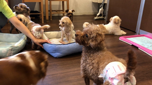 すきだよ♡の記事動画