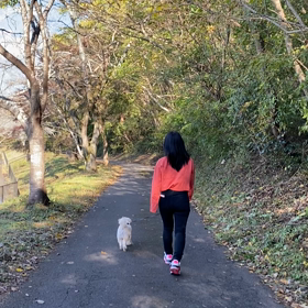 今日はの画像