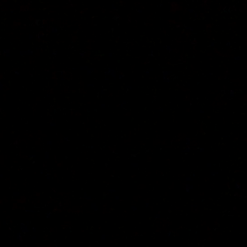 夏の始まりの画像