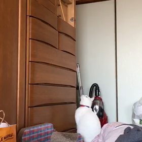 泥棒の画像