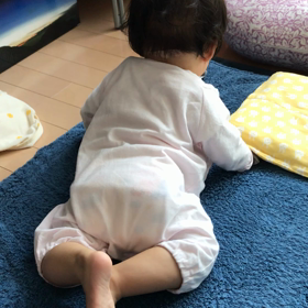 生後５ヶ月６日 腕立て伏せの画像
