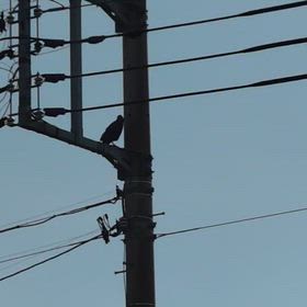 2025年9月30日の画像