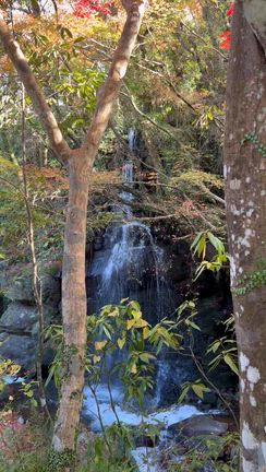 湯河原プチ旅行！「万葉公園」を流れる川の記事動画