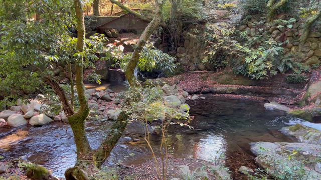 湯河原プチ旅行！「万葉公園」を流れる川の記事動画