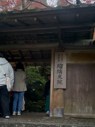 瑠璃光院の紅葉を愛でるの記事動画