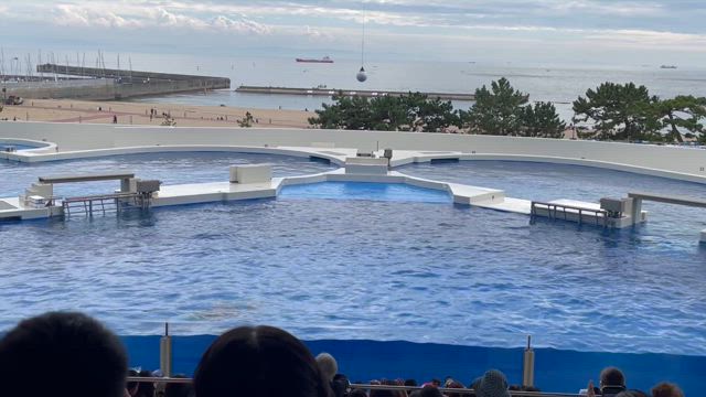 神戸の水族館に行ってきましたの記事動画