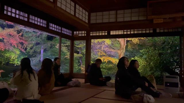 瑠璃光院の紅葉を愛でるの記事動画