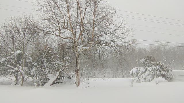 吹雪の日とそのあとの記事動画