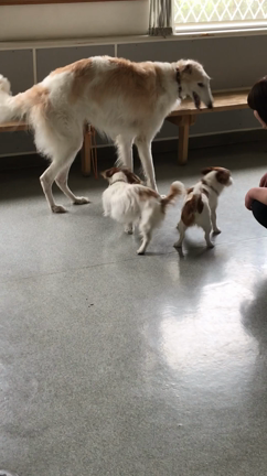 寒さに負けずの記事動画