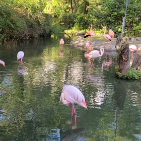 動物園の画像