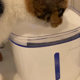 水の画像