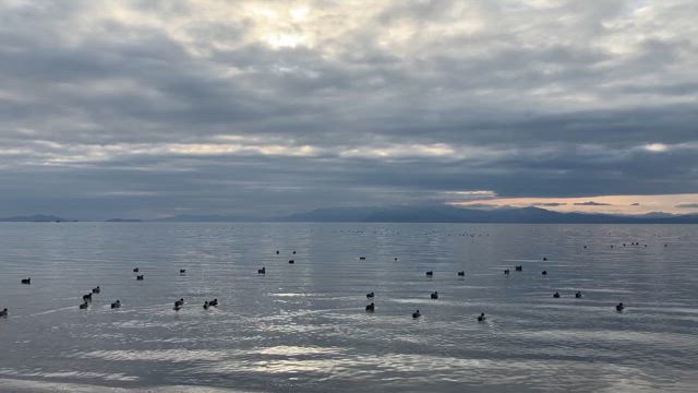 再び長浜に行ってきました。長浜浪漫ビール＆伊吹山珈琲店の記事動画