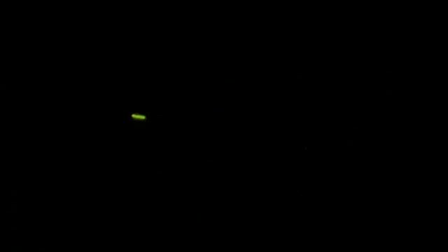 蛍をみてきました！の記事動画