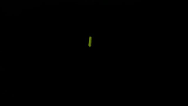 蛍をみてきました！の記事動画