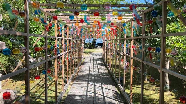 大津市坂本の西教寺に行ってきました。の記事動画
