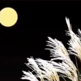 秋の気配の画像