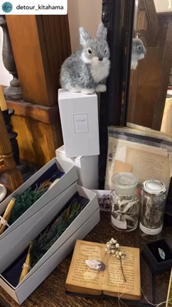 開店を待つばかりのデトゥール店内の記事動画