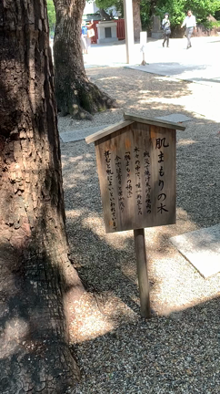 肌は最終排泄ルートの記事動画