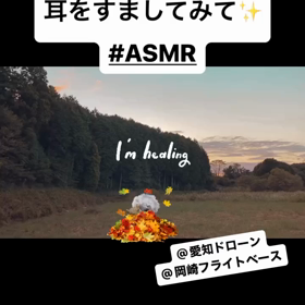 岡崎フライトベースにも秋がきましたの画像