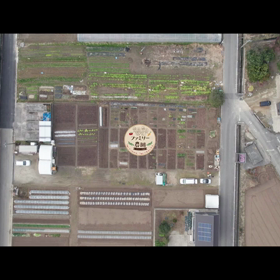 野菜スペシャリストが居るファミリー農園の空撮動画が完成しました♪の画像