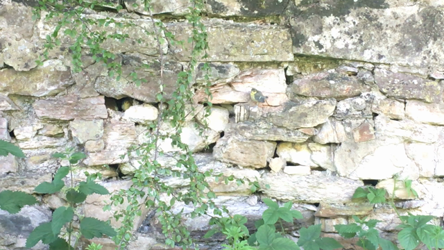 Drookit, 懲りずにブック・クラブに行くの記事動画