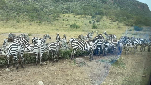 ケニアに行ってきました！の記事動画