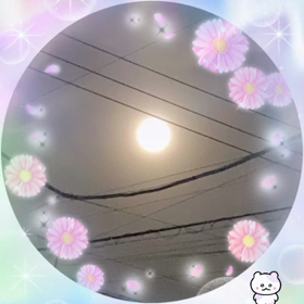 突然すぎて…の画像