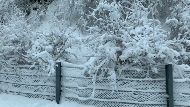 雪の中の年越しの記事動画