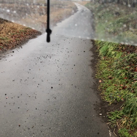 雨の朝トレリハビリ(>_<)の画像
