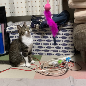 セルフで遊んでいますの画像